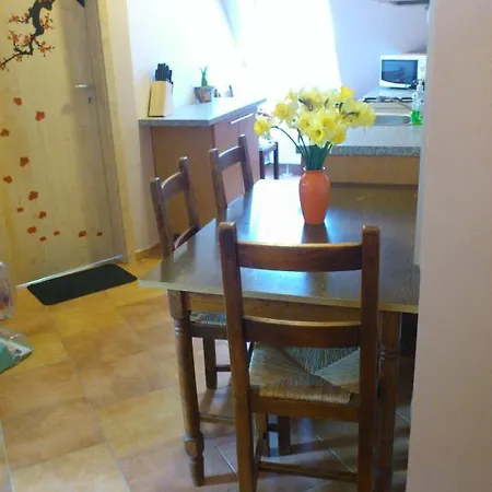 Rona Apartman 세게드
