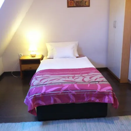 Rona Apartman 세게드